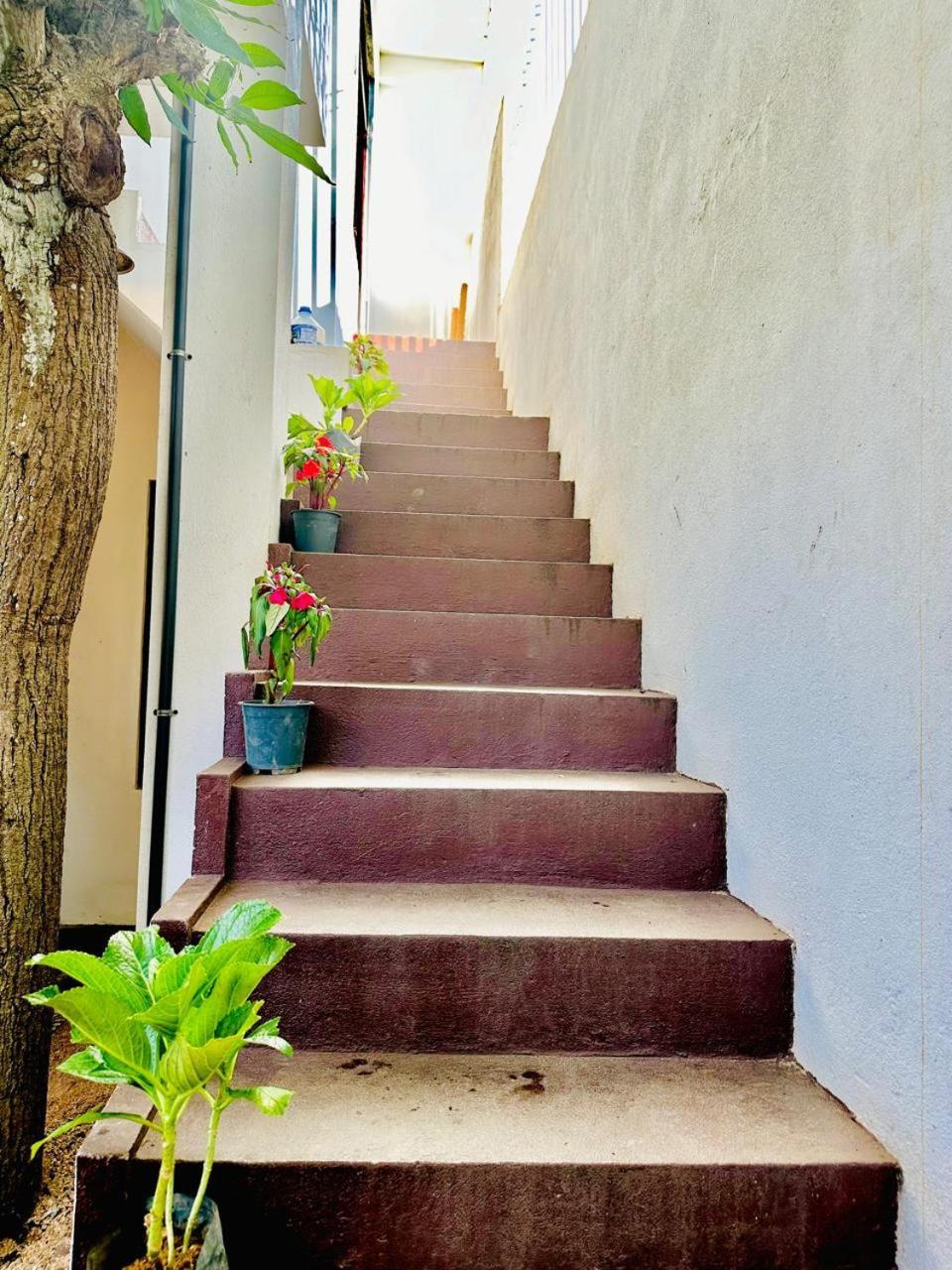 Sea Breeze Guest House ネゴンボ エクステリア 写真