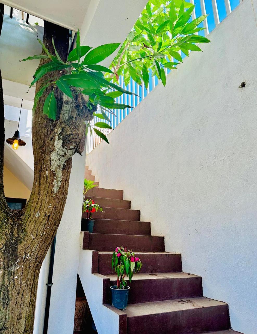 Sea Breeze Guest House ネゴンボ エクステリア 写真