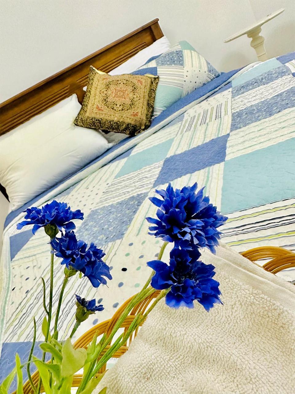 Sea Breeze Guest House ネゴンボ エクステリア 写真