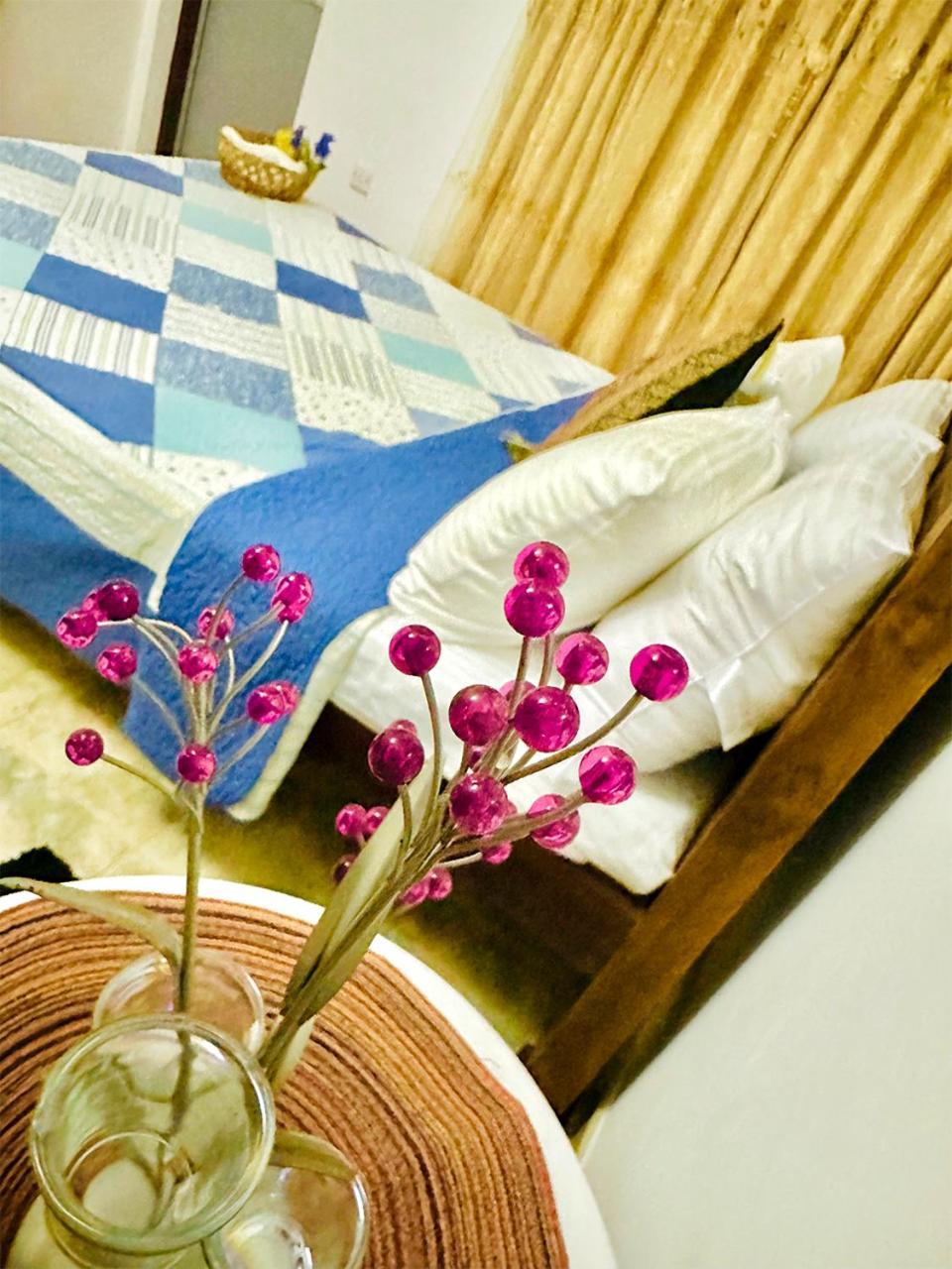 Sea Breeze Guest House ネゴンボ エクステリア 写真